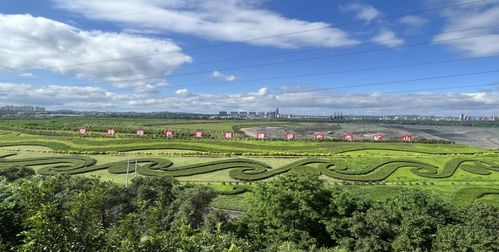 中国煤科实施系列生态环保科技创新项目,用实际行动守护绿水青山